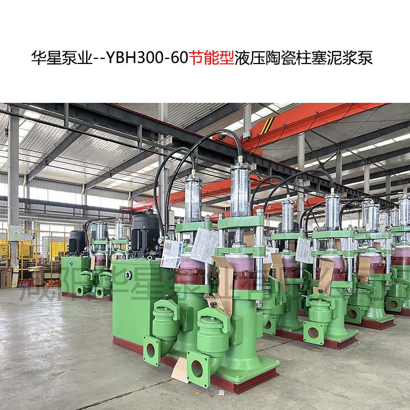 洗沙廠使用華星YBH300-60泥漿柱塞泵現(xiàn)場視頻