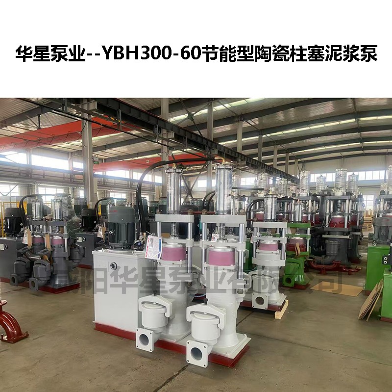 YBH300-60液壓陶瓷柱塞泵-02